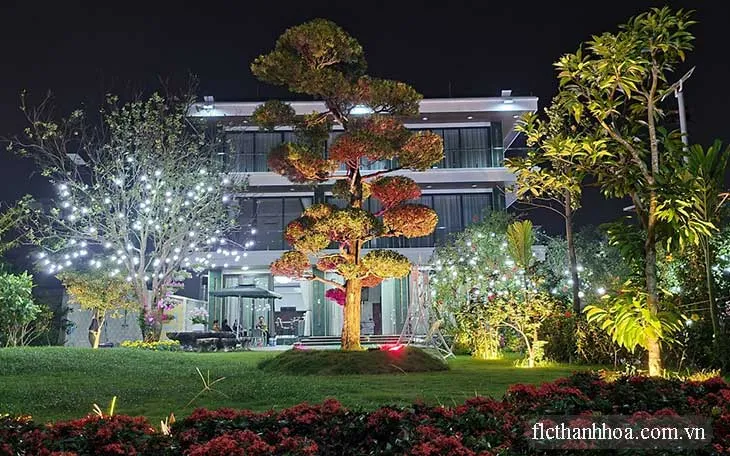 Dolphin Villa KT6-05